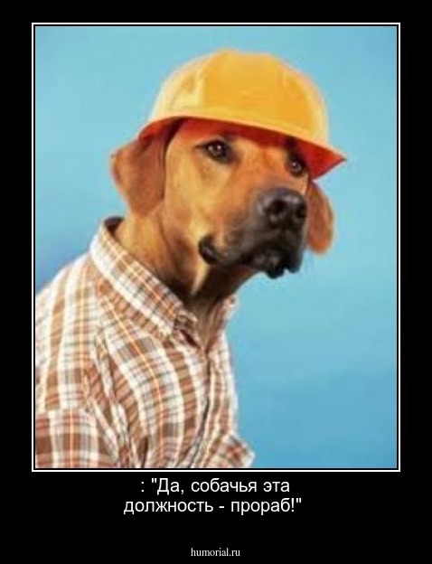  : "Да,  собачья эта должность - прораб!"