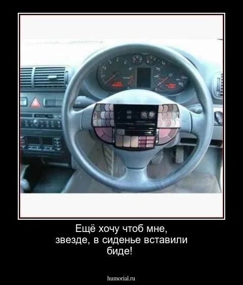 Ещё хочу  чтоб мне, звезде,  в  сиденье вставили биде!