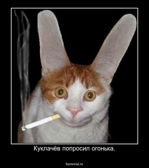 Куклачёв попросил огонька.