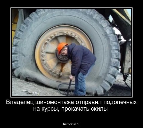 Владелец шиномонтажа отправил подопечных на курсы, прокачать скилы