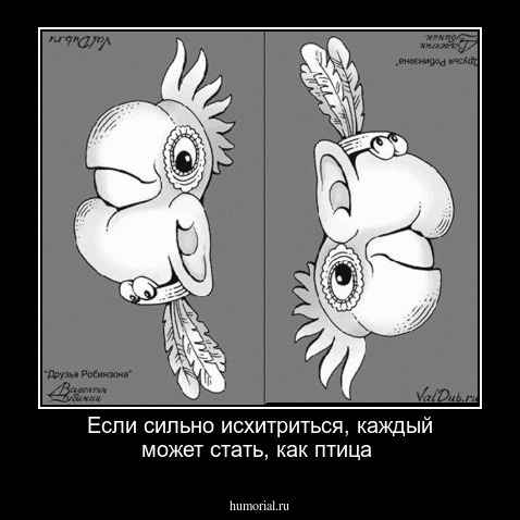 Если сильно исхитриться, каждый может стать, как птица
