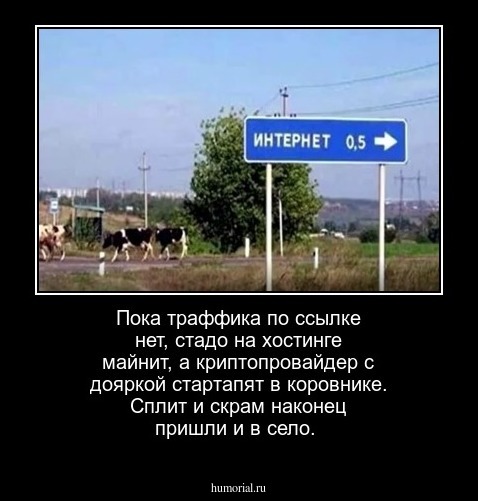 Пока траффика по ссылке нет, стадо на хостинге майнит, а криптопровайдер с дояркой стартапят в коровнике. Сплит и скрам наконец пришли и в село.   