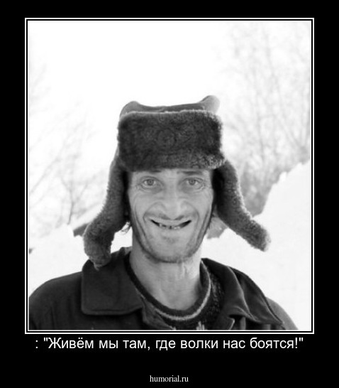 : "Живём мы там, где волки нас боятся!"