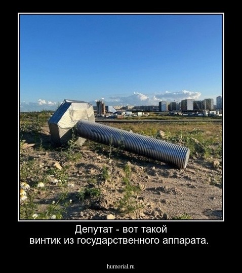Депутат - вот такой винтик из государственного аппарата.