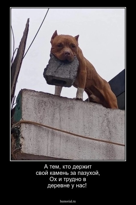  А тем, кто держит свой камень за пазухой, Ох и трудно в деревне у нас!