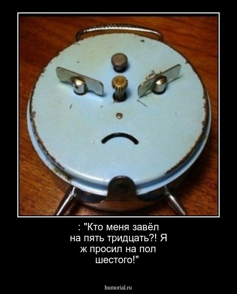  : "Кто меня завёл на пять тридцать?! Я ж просил на пол шестого!"



