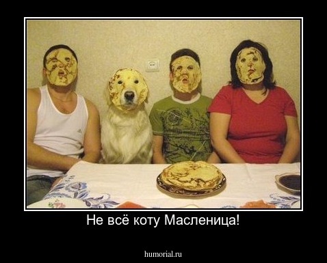 Не всё коту Масленица!