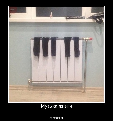 Музыка жизни
