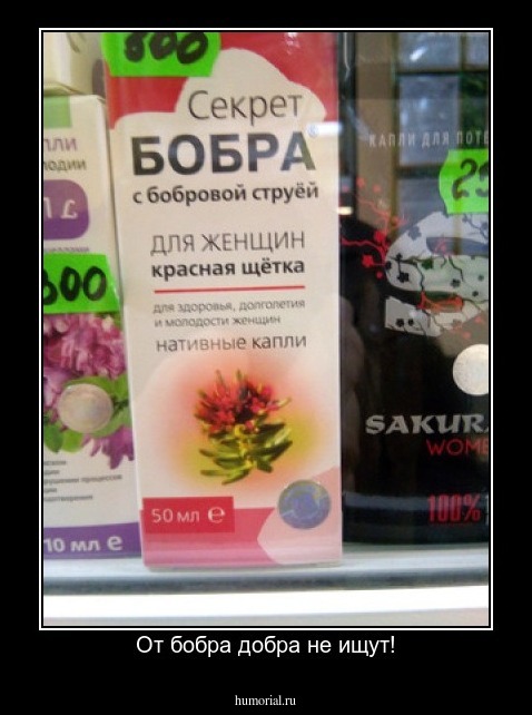  От бобра добра не ищут!