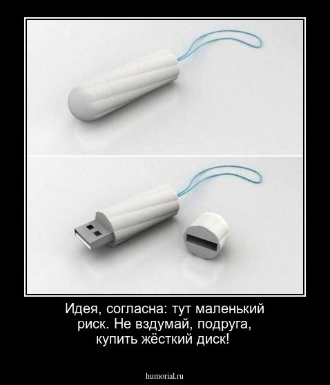 Идея, согласна: тут маленький риск.  Не вздумай, подруга, купить жёсткий диск!