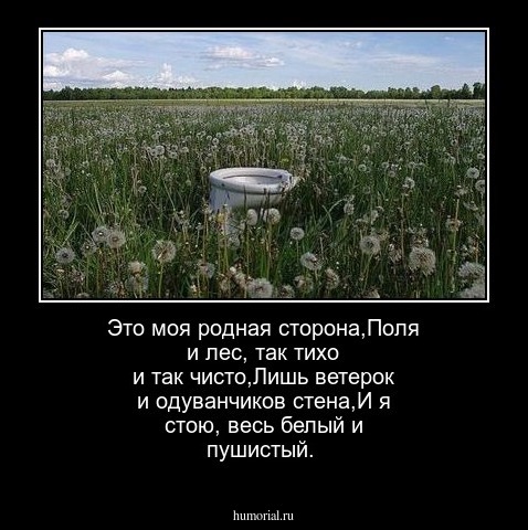 Это моя родная сторона,Поля и лес, так тихо и так чисто,Лишь ветерок и одуванчиков стена,И я стою, весь белый и пушистый.