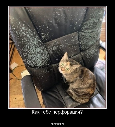 Как тебе перфорация?