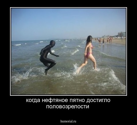 когда нефтяное пятно достигло половозрелости