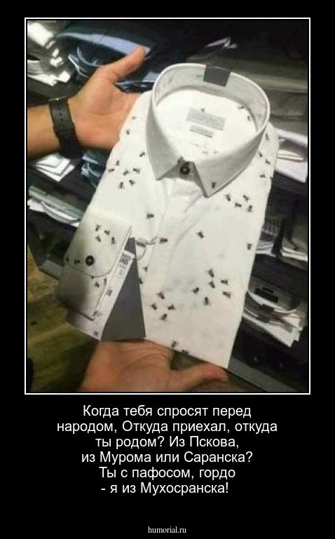 Когда тебя спросят перед народом, 
Откуда приехал, откуда ты родом?
Из Пскова, из Мурома или Саранска?
Ты с пафосом, гордо - я из Мухосранска!