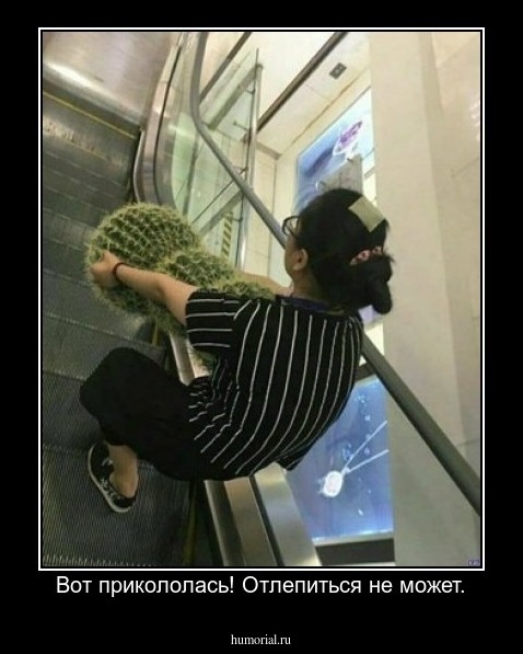 Вот прикололась! Отлепиться не может.