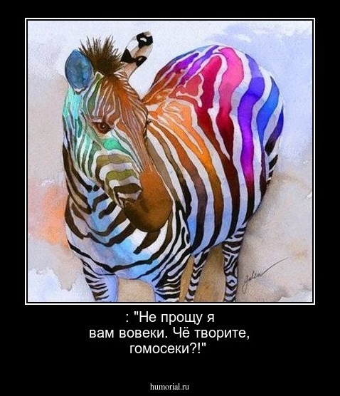  : "Не прощу я вам вовеки. Чё творите, гомосеки?!"