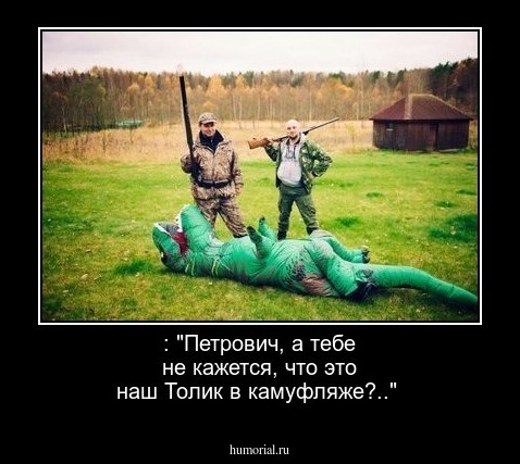  : "Петрович, а тебе не кажется, что это наш Толик в камуфляже?.."