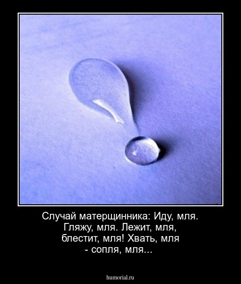 Случай матерщинника: Иду, мля. Гляжу, мля. Лежит, мля, блестит, мля! Хвать, мля - сопля, мля...
