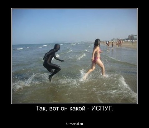 Так, вот он какой - ИСПУГ.