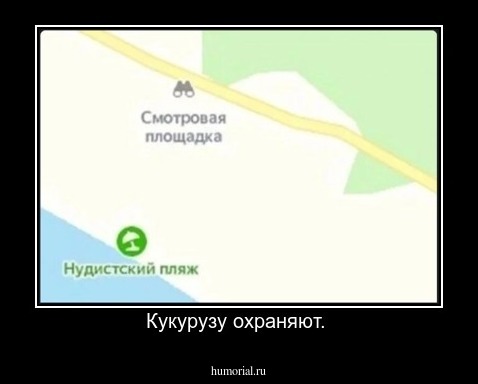 Кукурузу охраняют. 