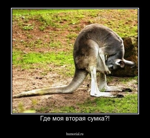 Где моя вторая сумка?!