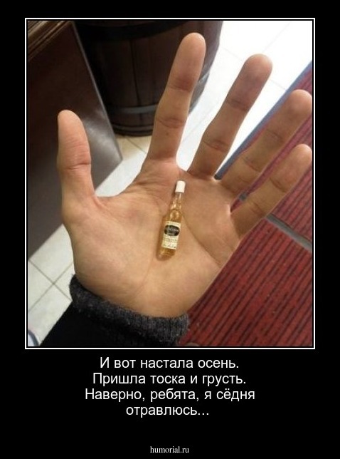 И вот настала осень. Пришла тоска и грусть. Наверно, ребята,  я сёдня отравлюсь...