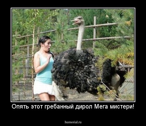 Опять этот гребанный дирол Мега мистери!