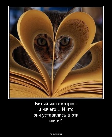 Битый час смотрю - и ничего...
И что они уставились в эти книги?
