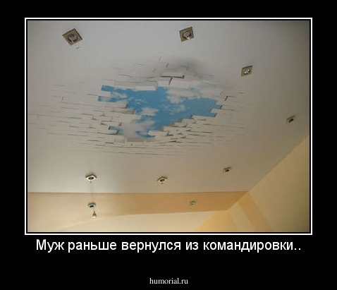 Муж раньше вернулся из командировки..