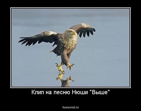Клип на песню Нюши "Выше"