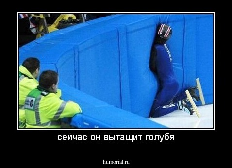 сейчас он вытащит голубя