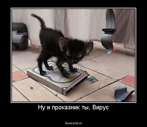 Ну и проказник ты, Вирус