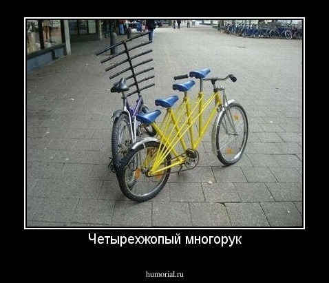Четырехжопый многорук