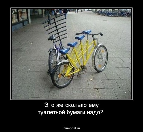 Это же  сколько ему туалетной бумаги надо?