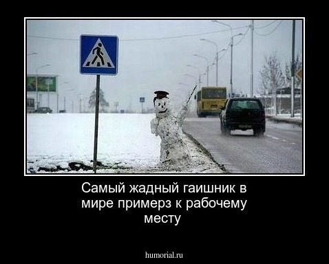 Самый жадный гаишник в мире примерз к рабочему месту