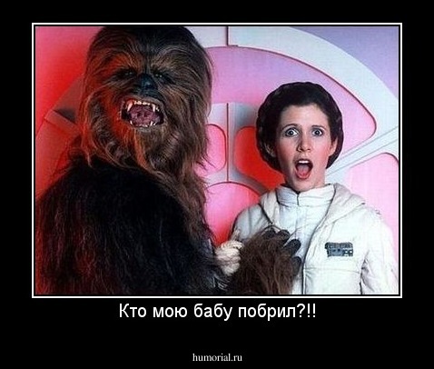 Кто мою бабу побрил?!!