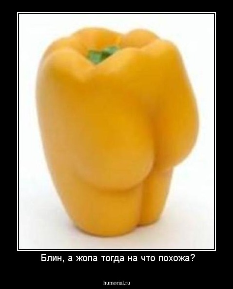  Блин, а жопа тогда на что похожа?