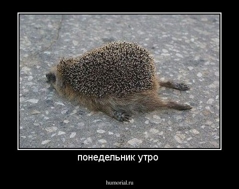 понедельник утро 