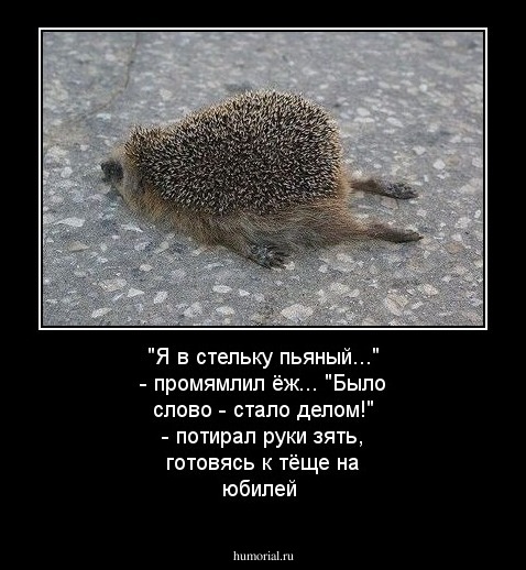 "Я в стельку пьяный..." - промямлил ёж... "Было слово - стало делом!" - потирал руки зять, готовясь к тёще на юбилей