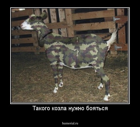 Такого козла нужно бояться