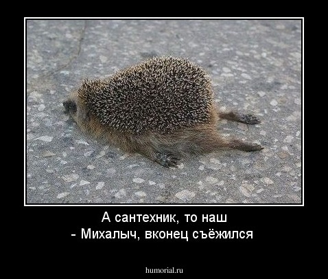 А сантехник, то наш - Михалыч, вконец съёжился