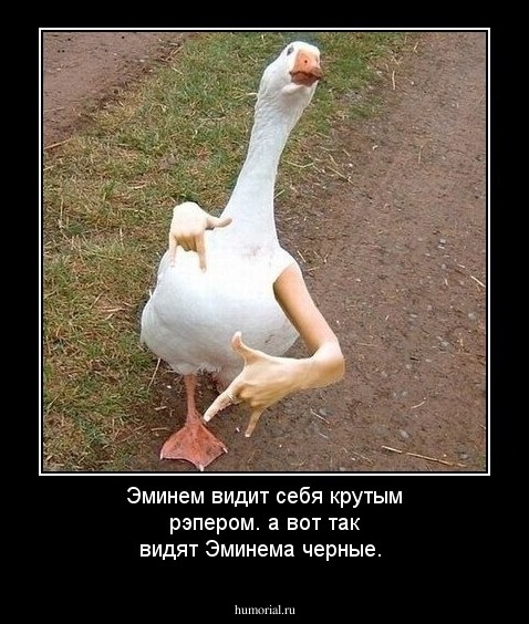 Эминем видит себя крутым рэпером.
а вот так видят Эминема черные.