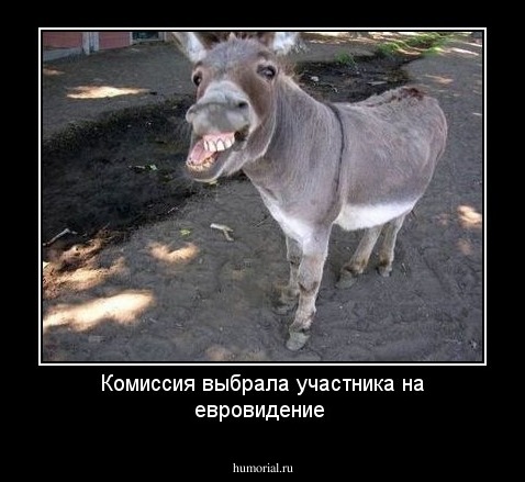 Комиссия выбрала участника на евровидение