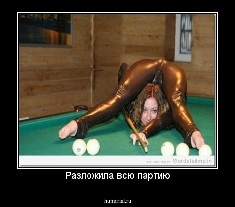 Разложила всю партию