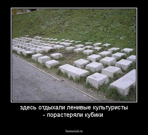здесь отдыхали ленивые культуристы - порастеряли кубики