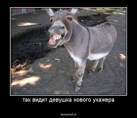 так видит девушка нового ухажера