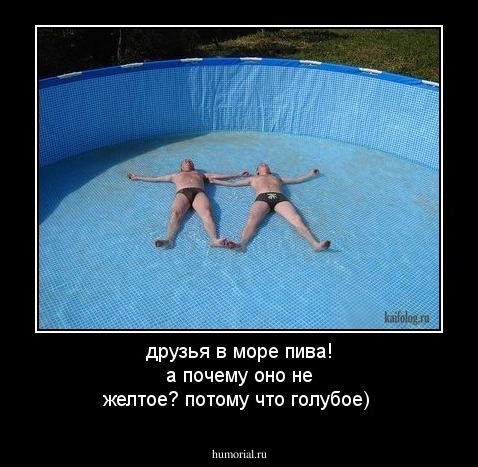 друзья в море пива!  а почему оно не желтое? потому что голубое)