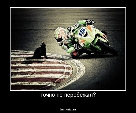 точно не перебежал?