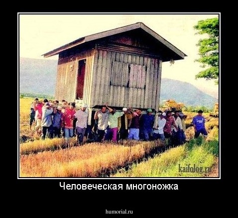 Человеческая многоножка