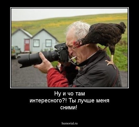 Ну и чо там интересного?! Ты лучше меня сними!
